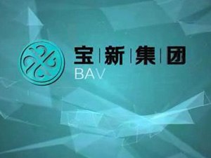 上海寶新集團(tuán)形象片！